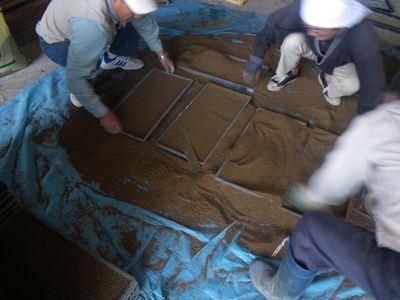 米の種まき1.jpg