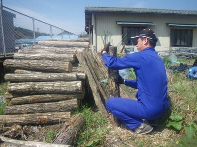 椎茸菌打ち開始.jpg