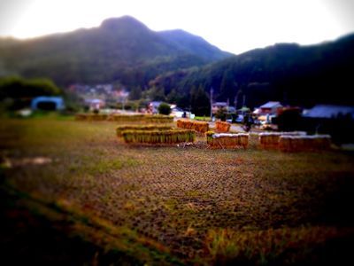 稲刈り終了!.jpg