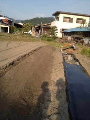 高畝に挑戦.jpg